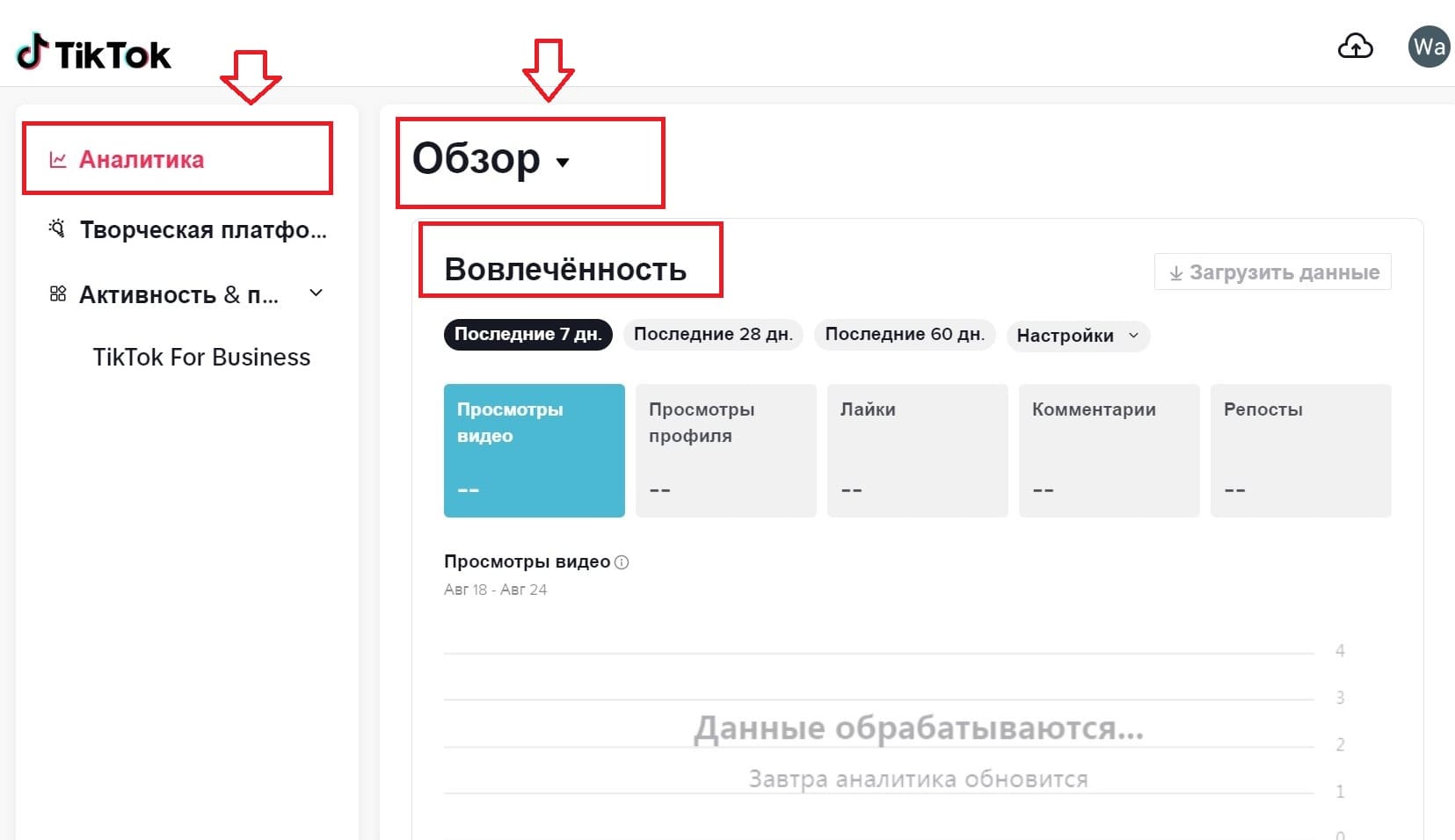 Аналитика Тик-Ток-аккаунта