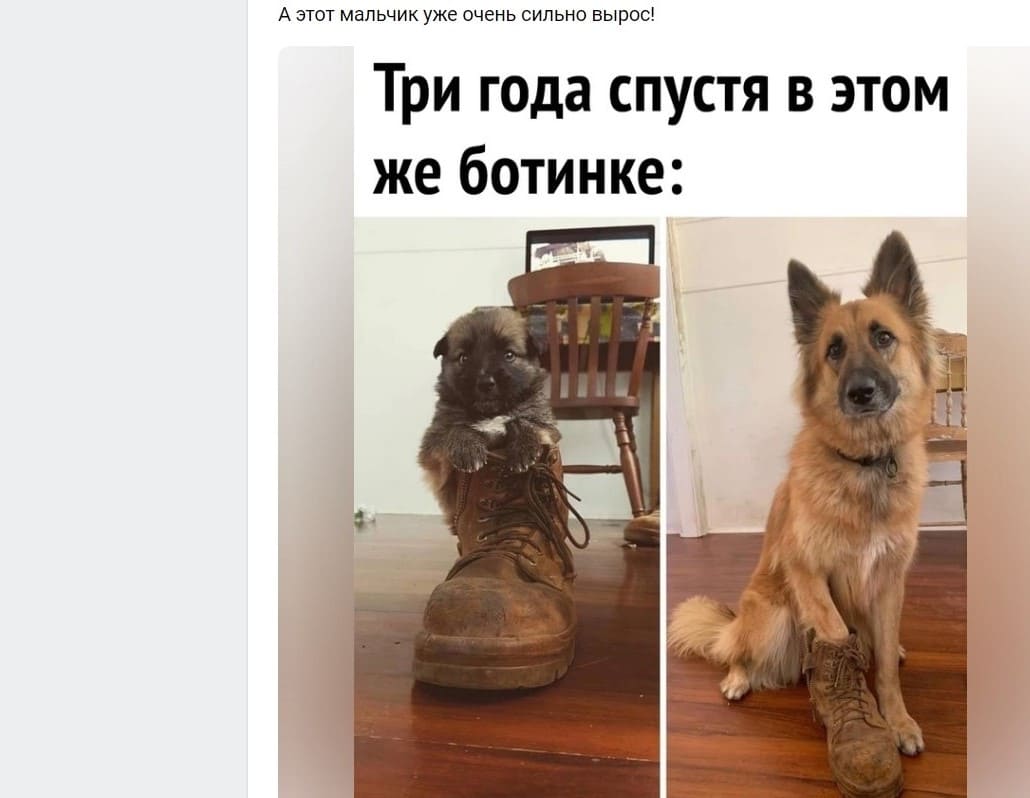 Как можно увеличить количество просмотров в ВК