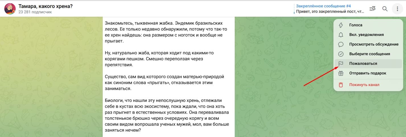 Самостоятельная отправка жалобы