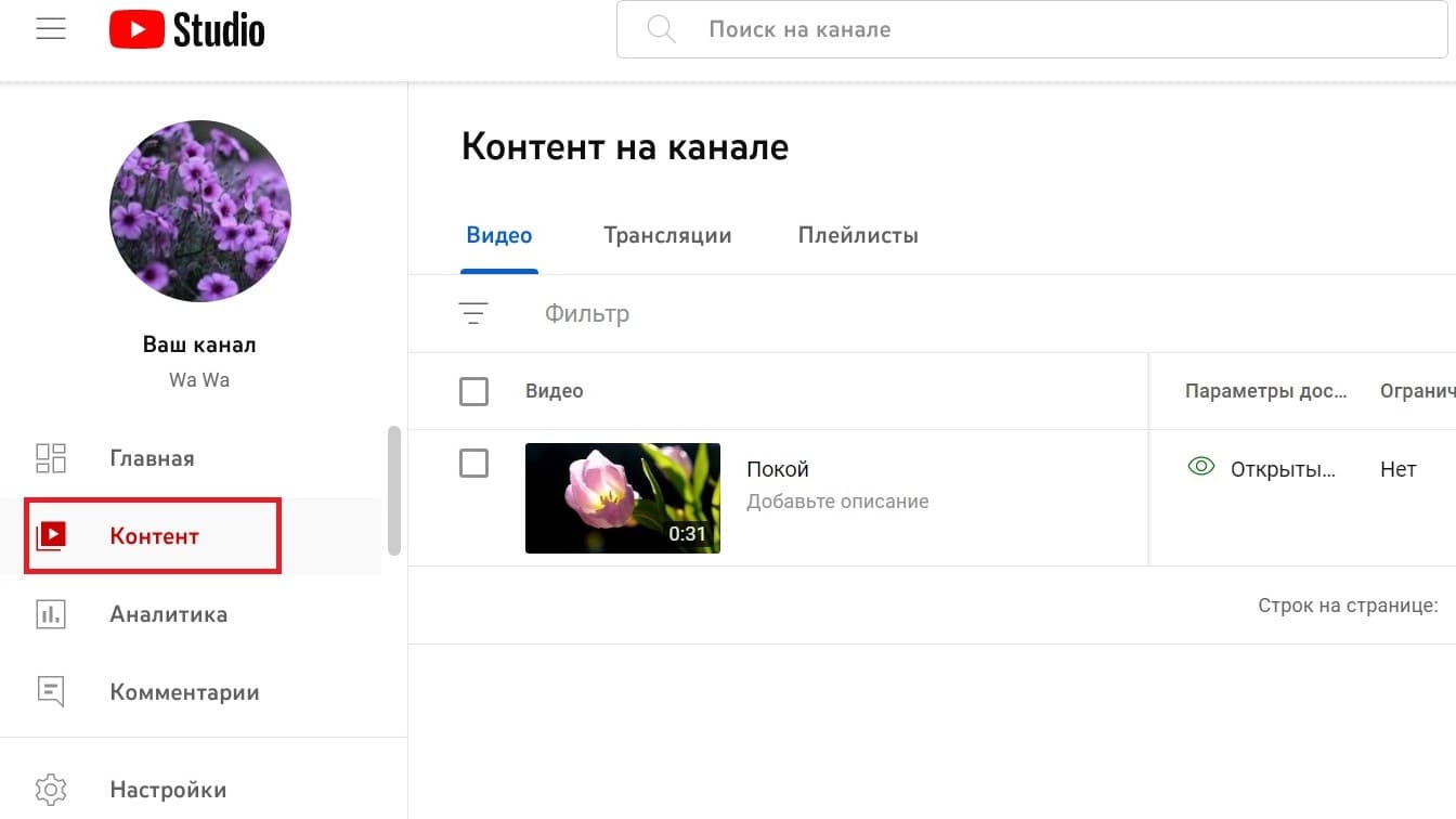 Для одного видеоролика