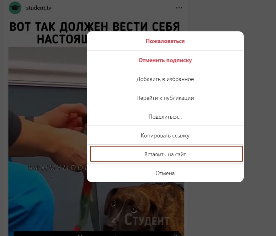 Выбрать опцию &laquo;Вставить на сайт&raquo;